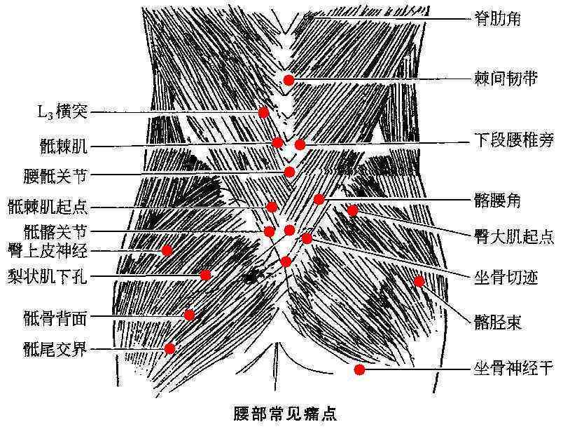 腰部扭伤工伤认定及伤残等级评定指南：完整流程与注意事项解析
