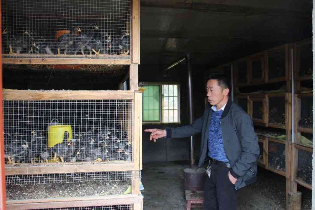 贫对象的认定和程序：标准、原则、识别方法及实步骤