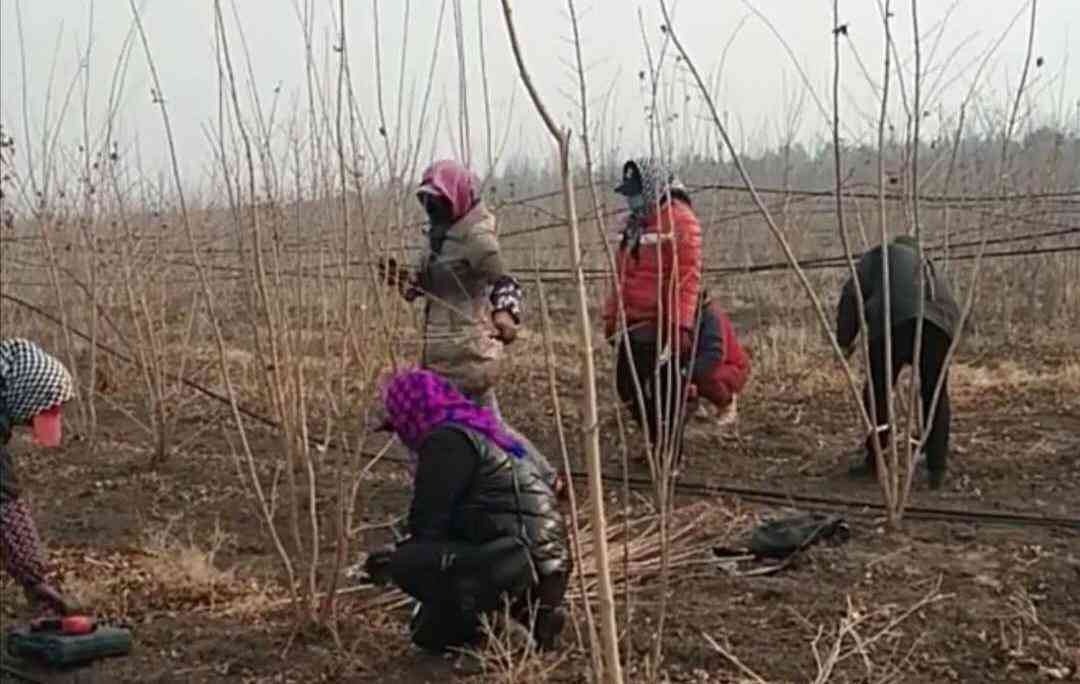 贫对象的认定和程序：标准、原则、识别方法及实步骤