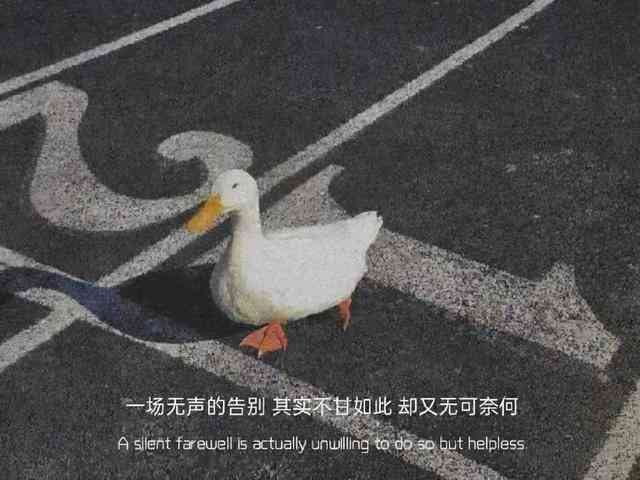 命运多舛文案句子：短句简短汇总