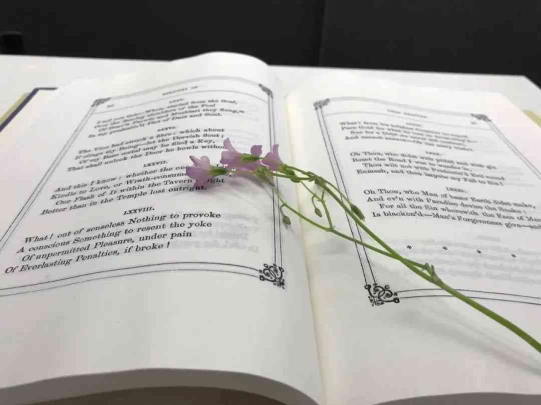 命运波折与人生困境：全面解析命运多舛的句子及其应对策略