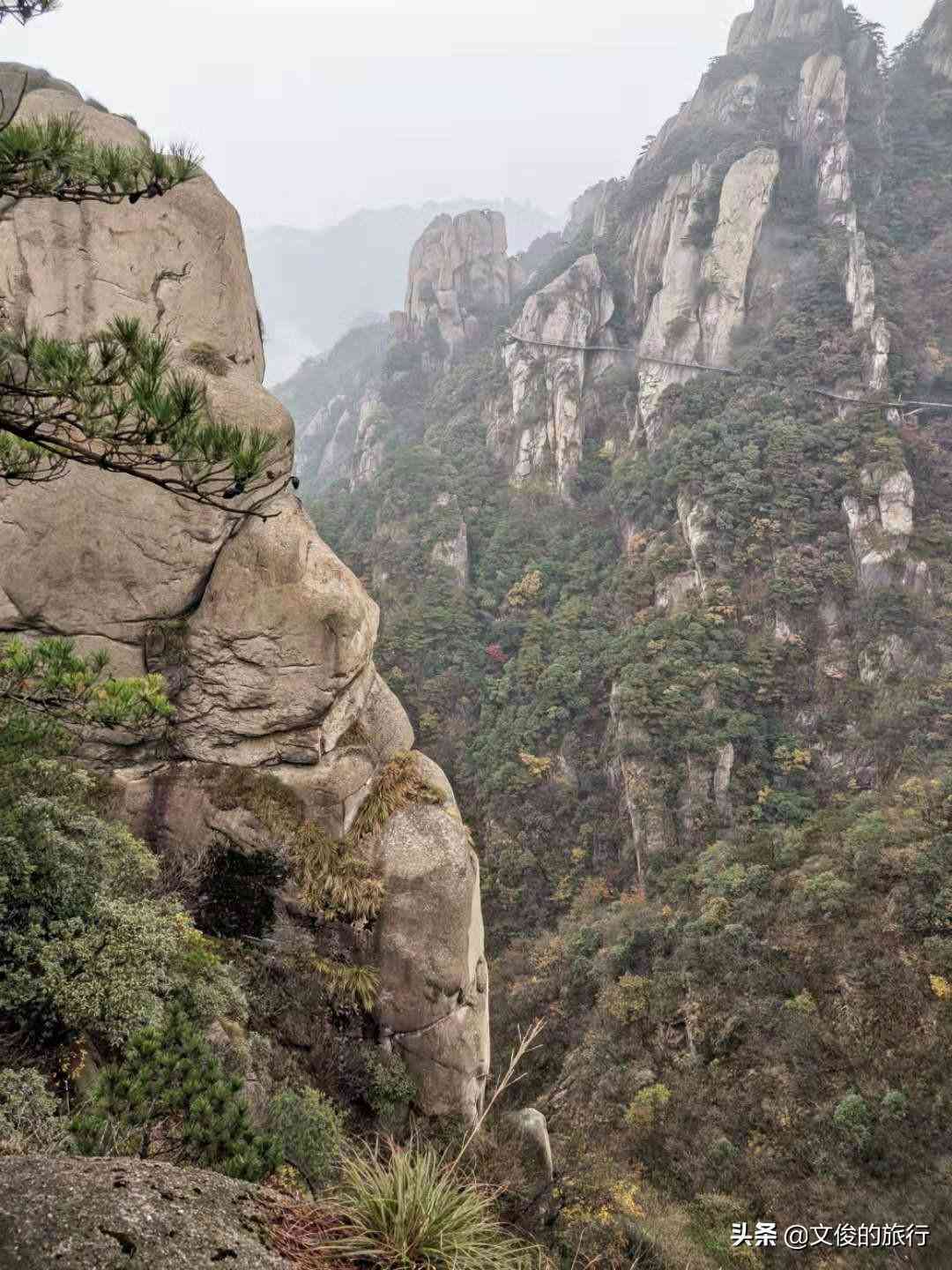 全方位深度解析：全面覆用户关注的核心问题与细节剖析