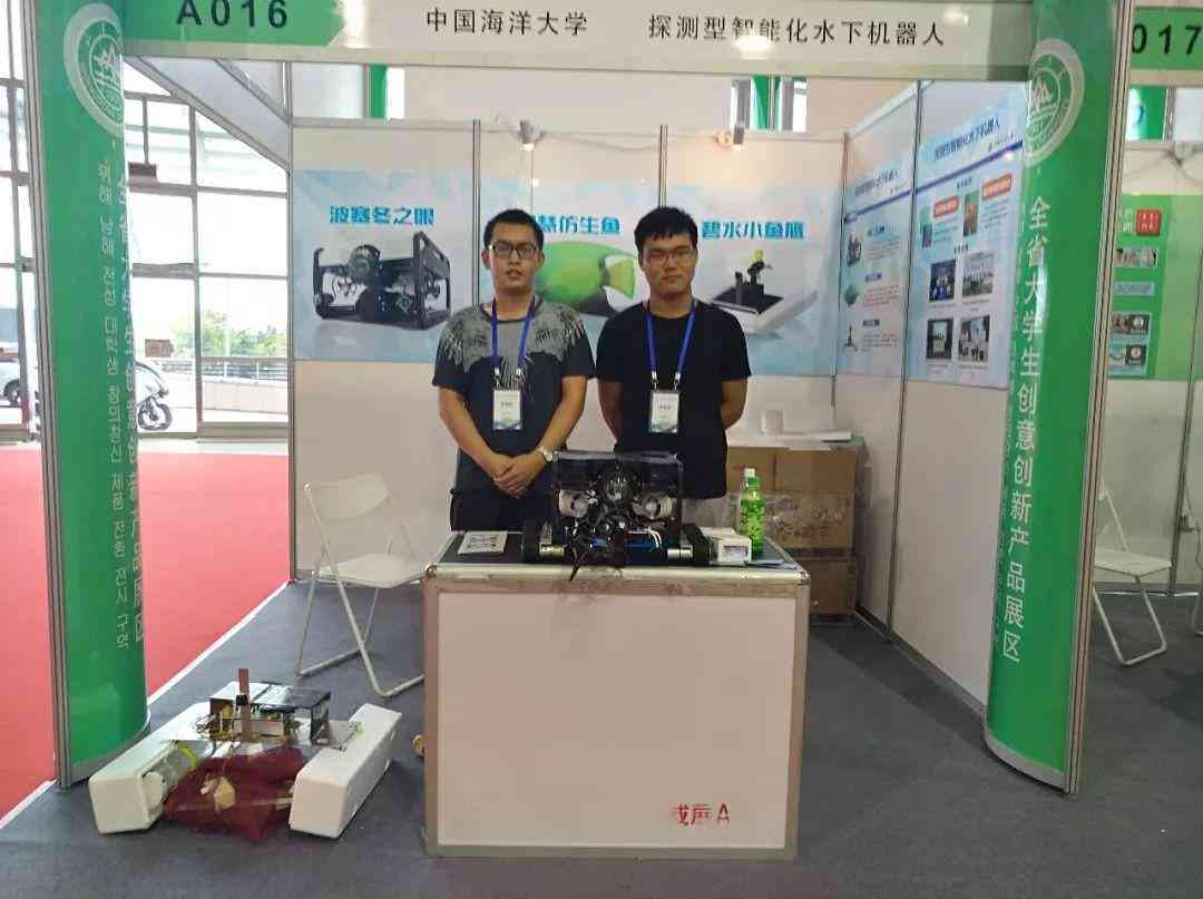 全方位深度解析：全面覆用户关注的核心问题与细节剖析