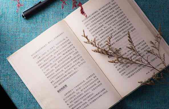 企业全景报告：撰写指南、模板与制作步骤详解