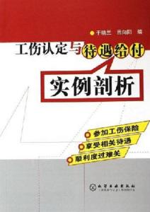 工伤认定案例分析：承包人在工过程中受伤如何被确认为工伤