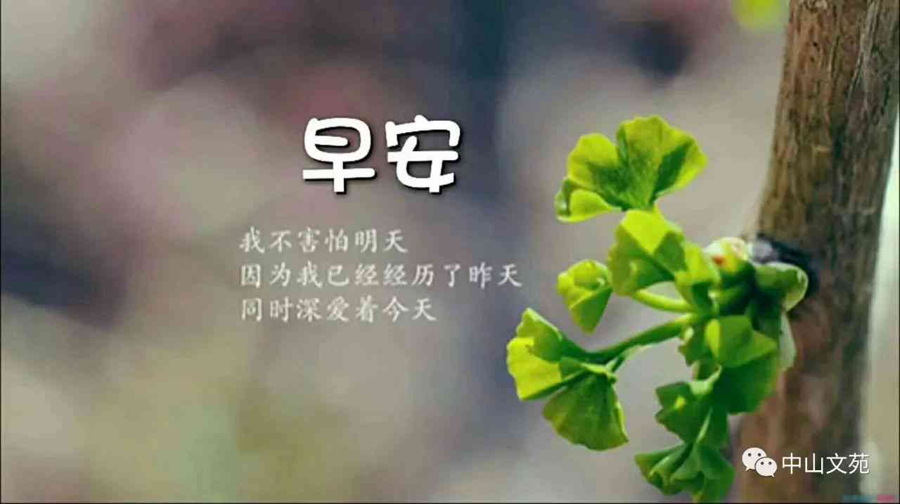 绘画治愈语录：精选短句清新励志，全面抚慰心灵的艺术疗愈指南