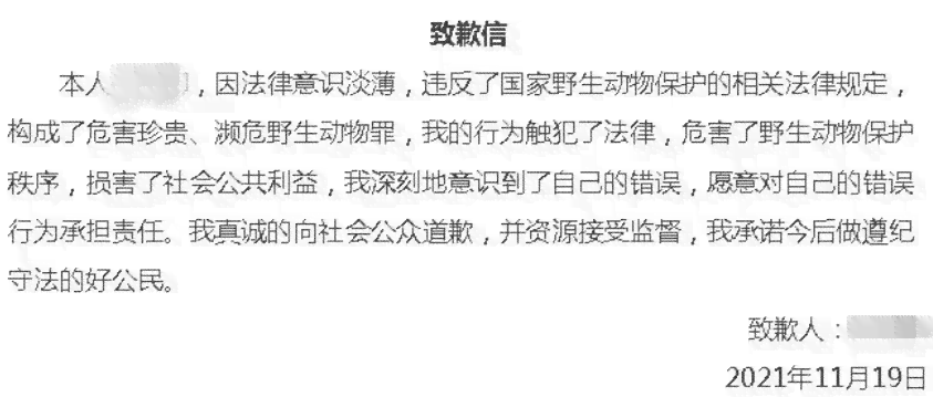 定作人与承揽人间的赔偿责任认定及法律适用解析