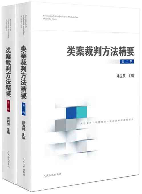 定作人违法责任解析：承揽关系中的赔偿案例研究