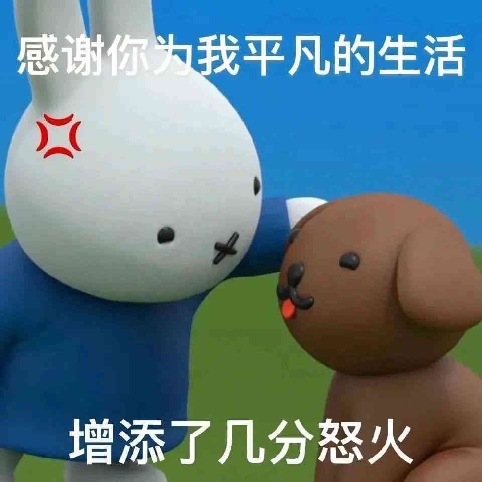 潮流国宝来袭！猫穿AJ表情包集锦，一键解决各类社交场合需求
