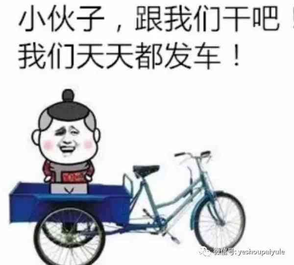 潮流国宝来袭！猫穿AJ表情包集锦，一键解决各类社交场合需求