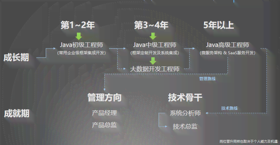 掌握技术等级全解析：从入门到精通，详解十一级技能要求与提升路径