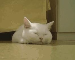 AI星星酒店文案生活