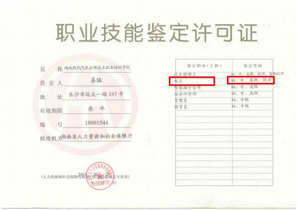 技术工人证书在哪里办：办理流程、用途及查询方法一览