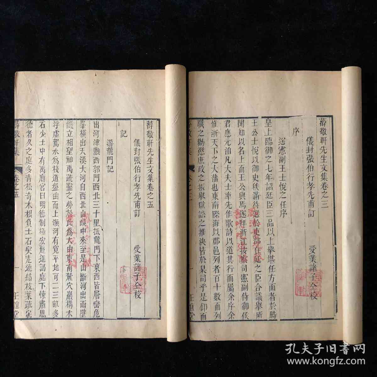 红书作者详细介绍：名字、简介及背景资料一览