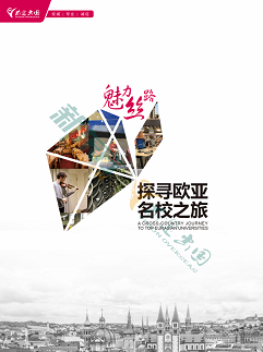 红书原文全集：深度解析与热门话题全方位指南