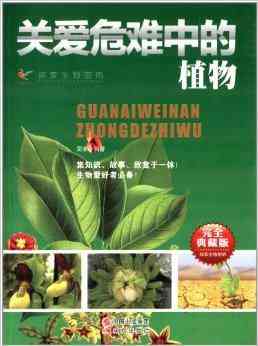 探索红书：揭秘种草社区的流行密码
