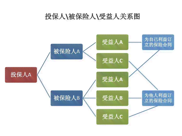 工伤保险投保人：定义、投保人数填写及意义解析