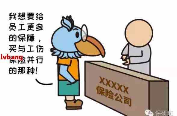工伤补偿权益保障：被保险人权利与责任解读