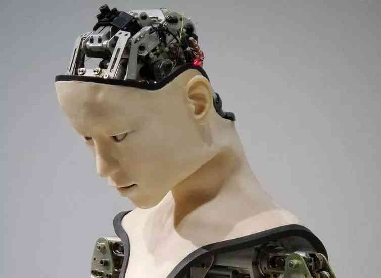 AI驱动的个性化发型定制机器人