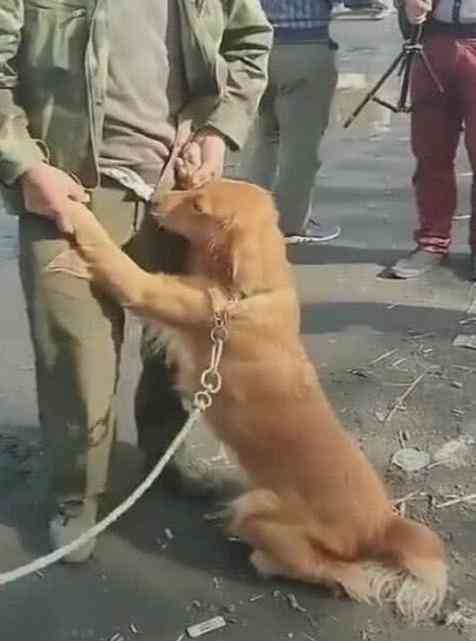 拒不认定工伤怎么办