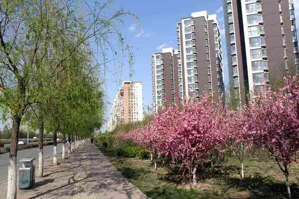 低保户参与工伤保险的资格、条件及办理流程详解