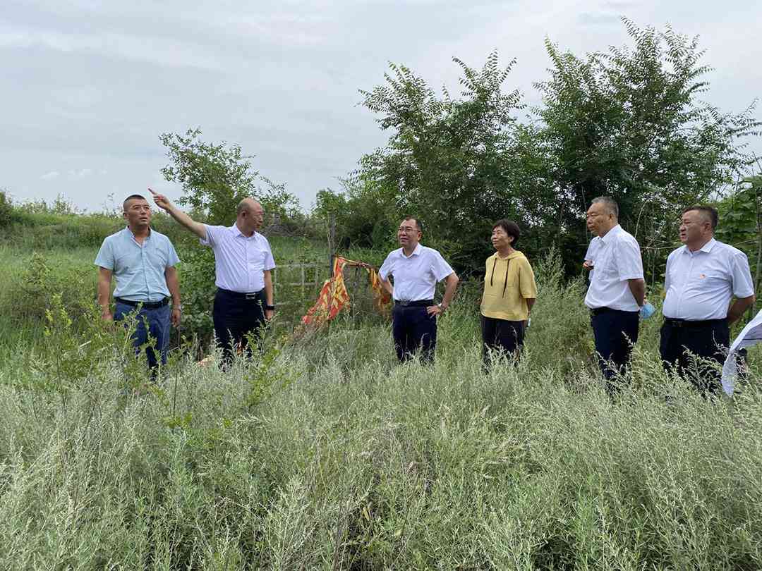ai生成科研调研报告的软件叫什么名字软件叫什么叫什么来着