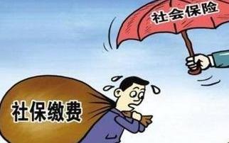 挂靠车辆司机工伤认定及权益保障探讨