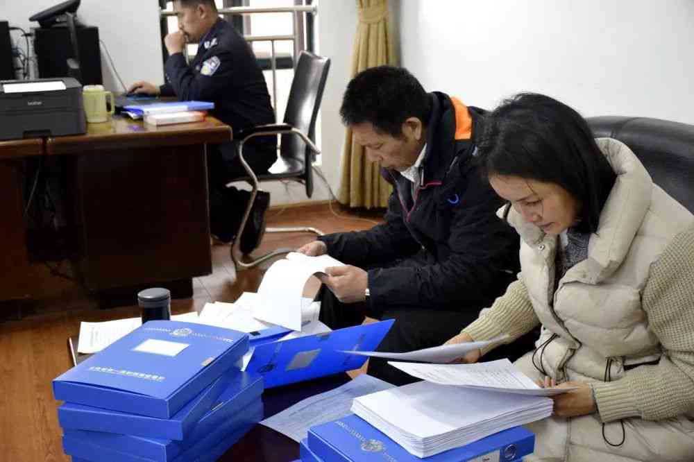 '高效分配任务，确保专人专项执行工作'