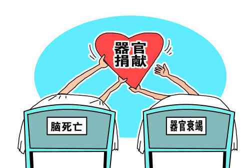 揭秘器官捐献流程：受捐者隐私保护与捐献者信息保密规定