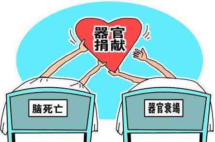 捐献器官不认定工伤怎么办