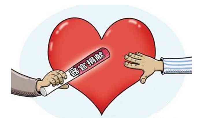 捐献器官不认定工伤怎么办