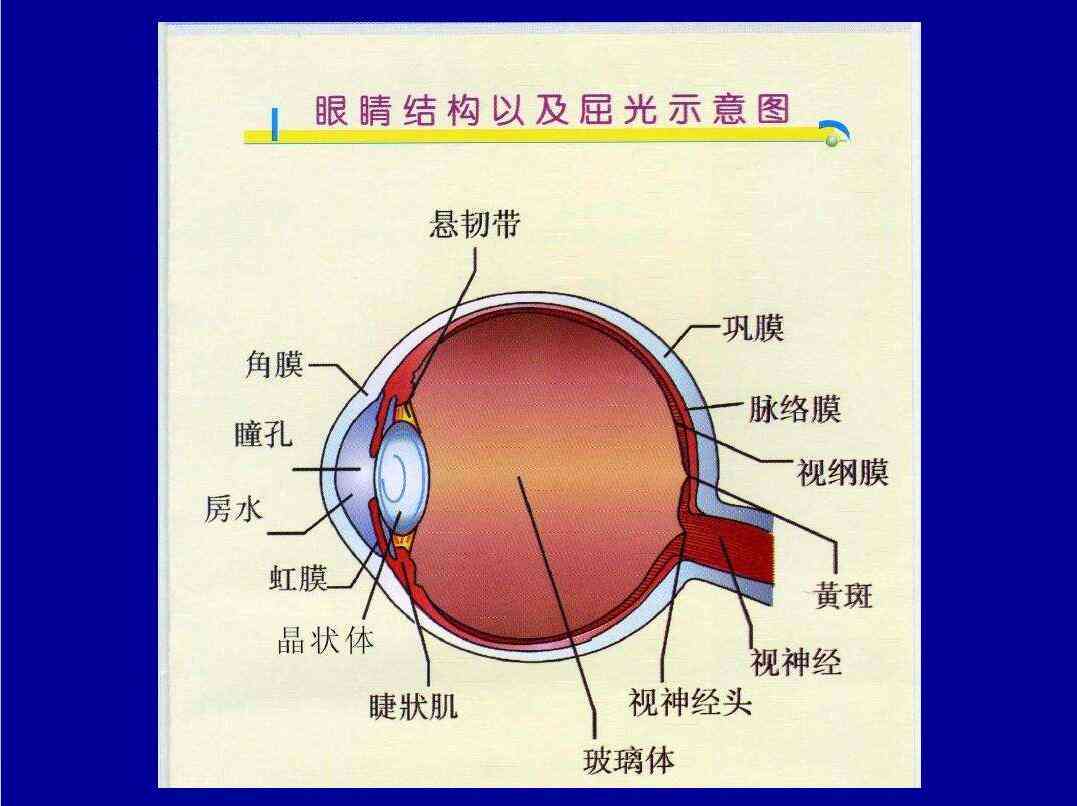 全面解读视网膜损伤伤残鉴定标准及流程：涵各级伤残评定与法律     指南