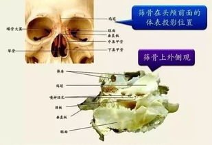 视网膜损伤算轻伤吗：其严重性与伤残等级判定