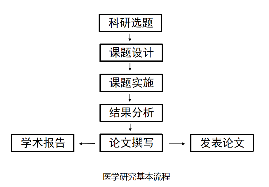 全方位指南：医学综述撰写技巧与实践解析