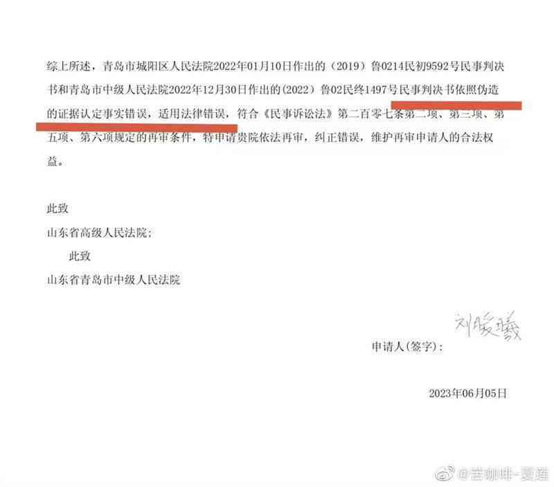 接处警记录在法律诉讼中的证据效力与适用情况解析