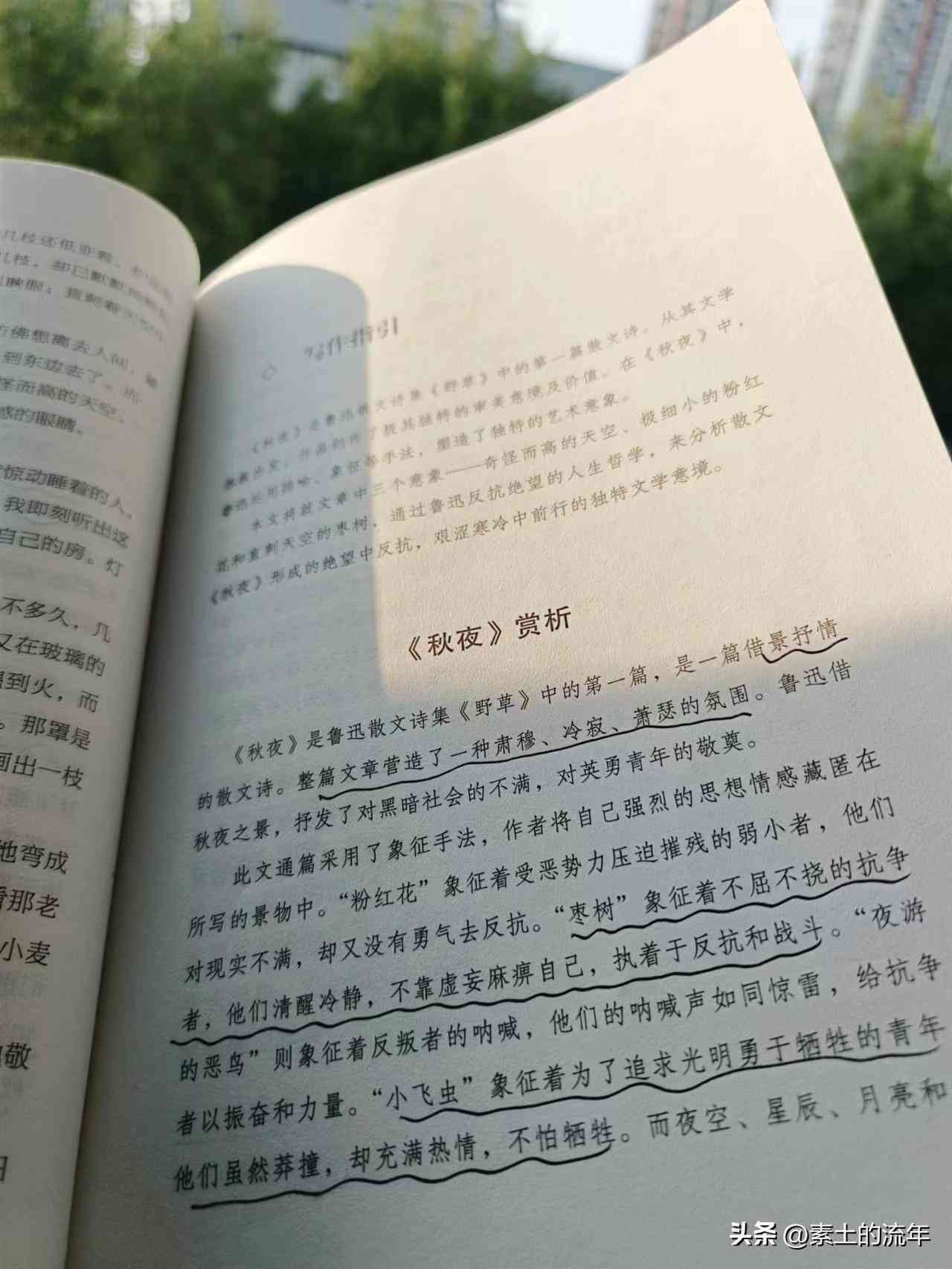 ai写作大师这个软件怎么使用