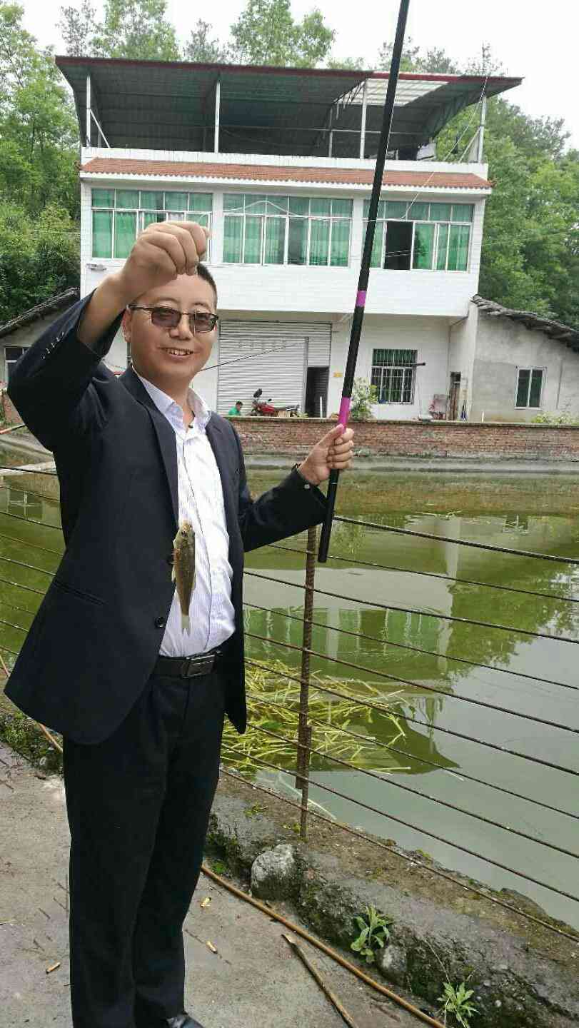 深圳市南山区作家协会：最新动态、活动资讯与作家风采一览
