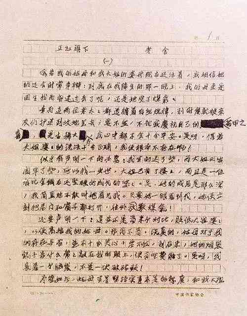 专业指导：助您高效完成作文创作任务