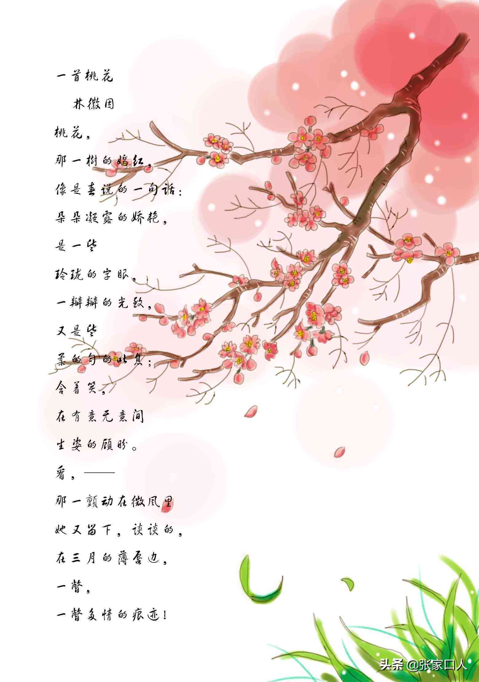 专业指导：助您高效完成作文创作任务