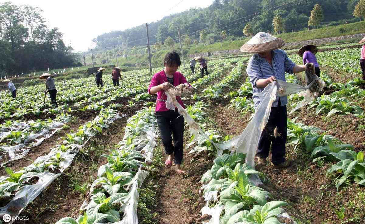 i.天工：全方位解析人工智能技术与工程应用解决方案