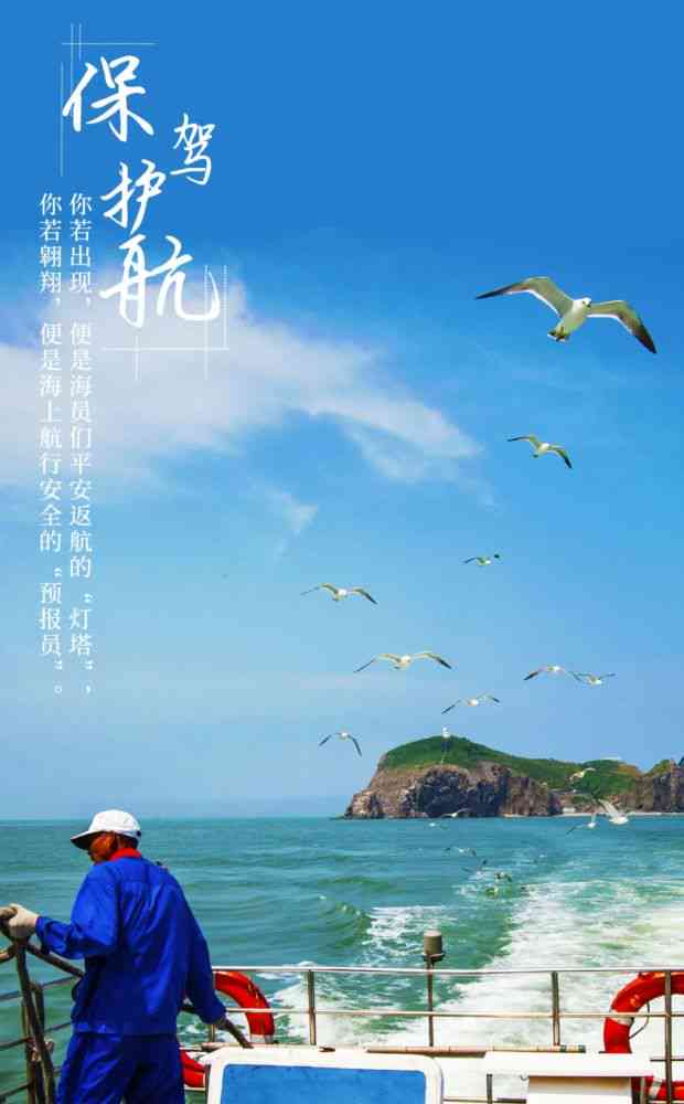 海滨笔耕者：海鸥作家海上创作生涯揭秘