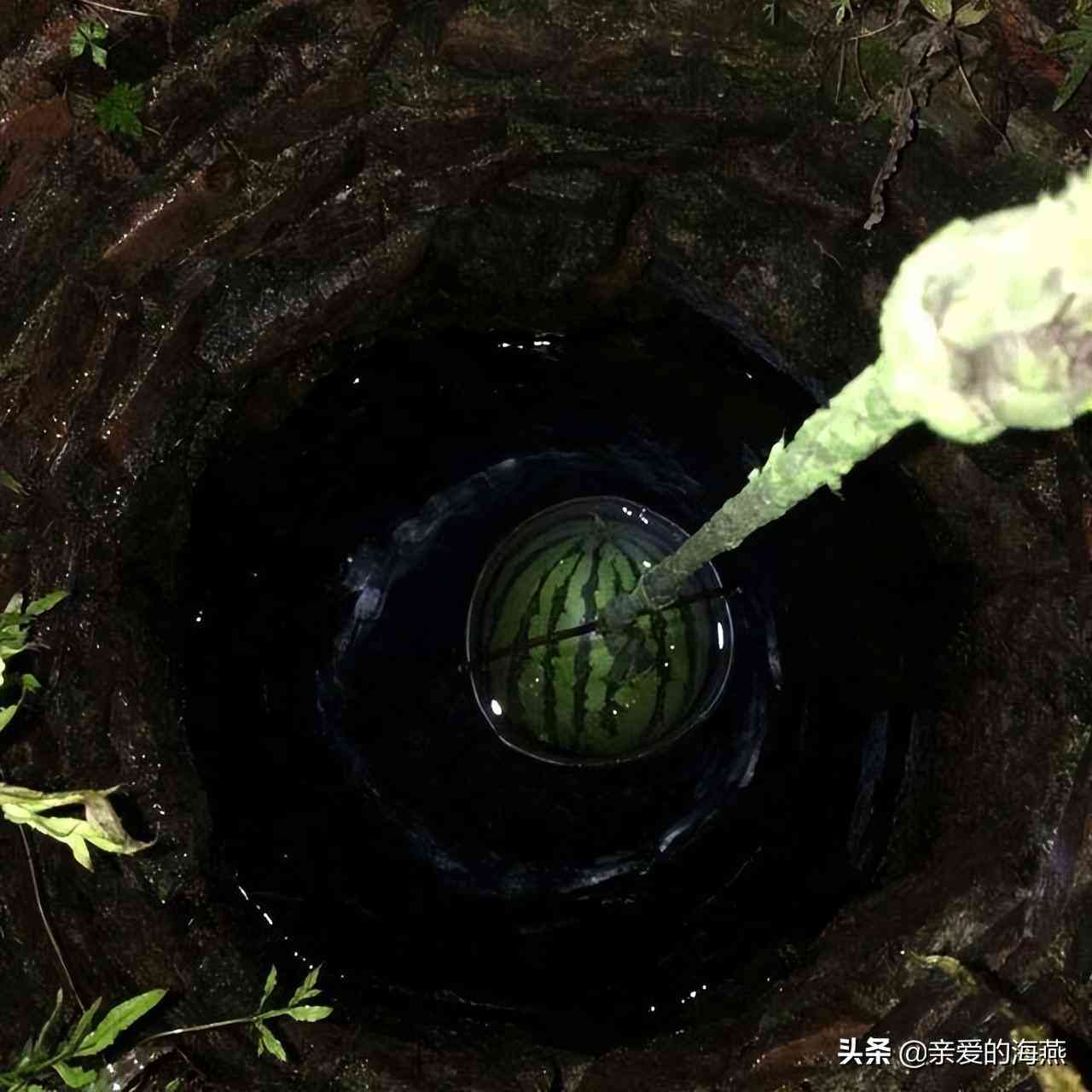 西瓜AI写作微信小程序是否提供免费使用服务