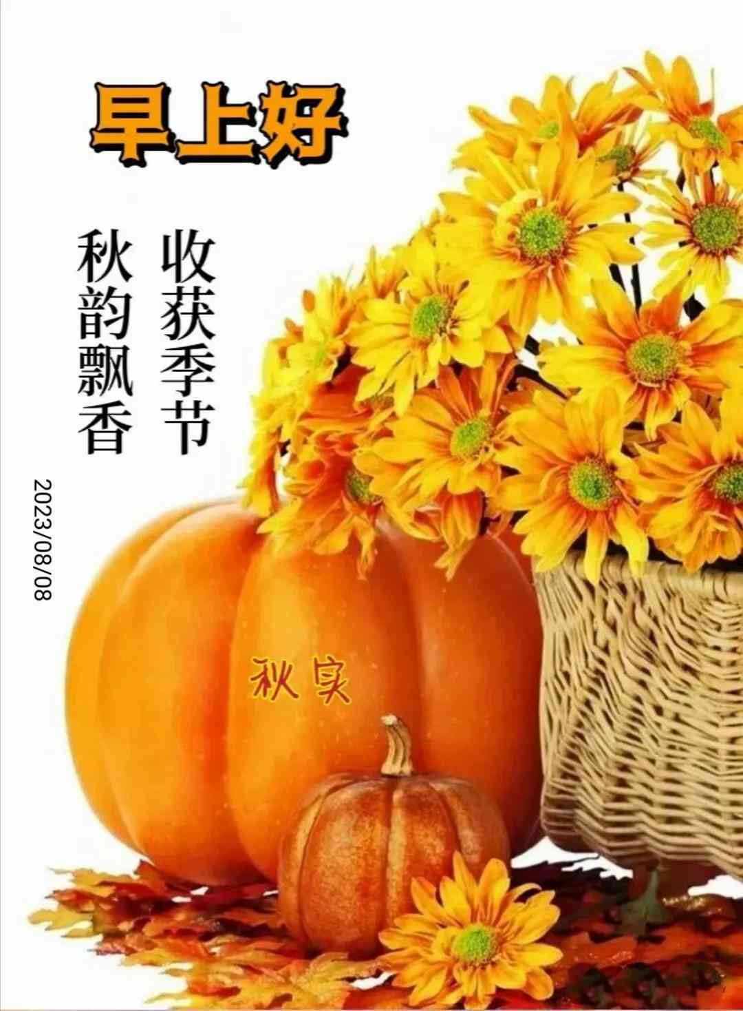 探索2023年热门AI文案写作工具：全面提升创作效率的软件盘点
