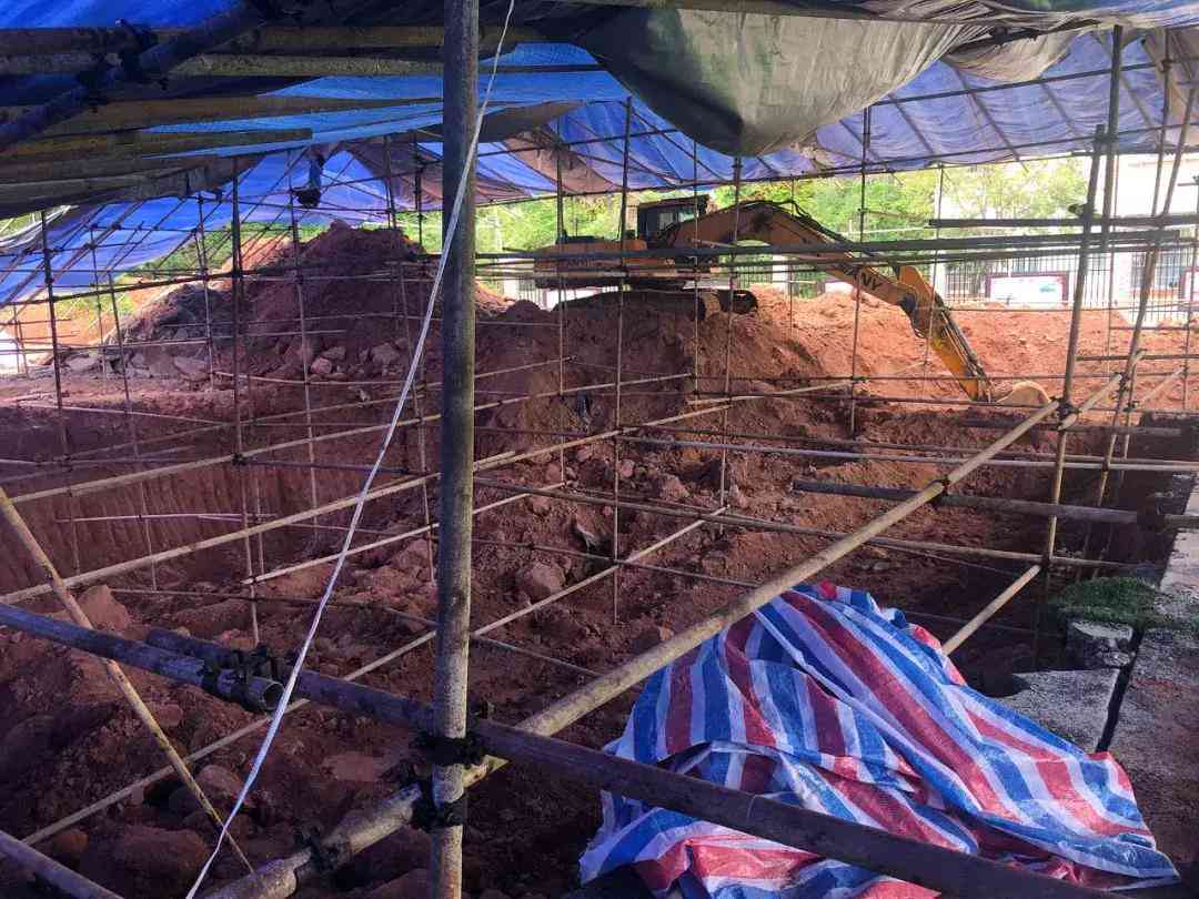 操场埋尸案追踪：揭露涉事公职人员名单及其责任追究情况