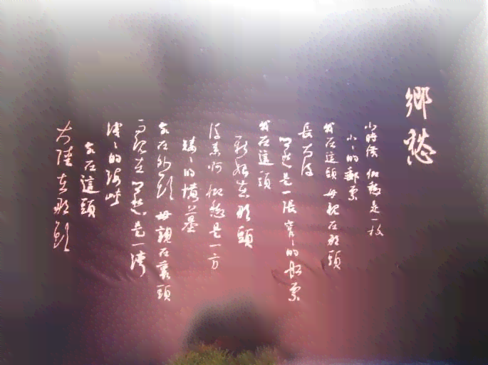 日炎炎，爱意绵绵：浪漫日情感语录精选