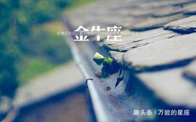 日炎炎，爱意绵绵：浪漫日情感语录精选