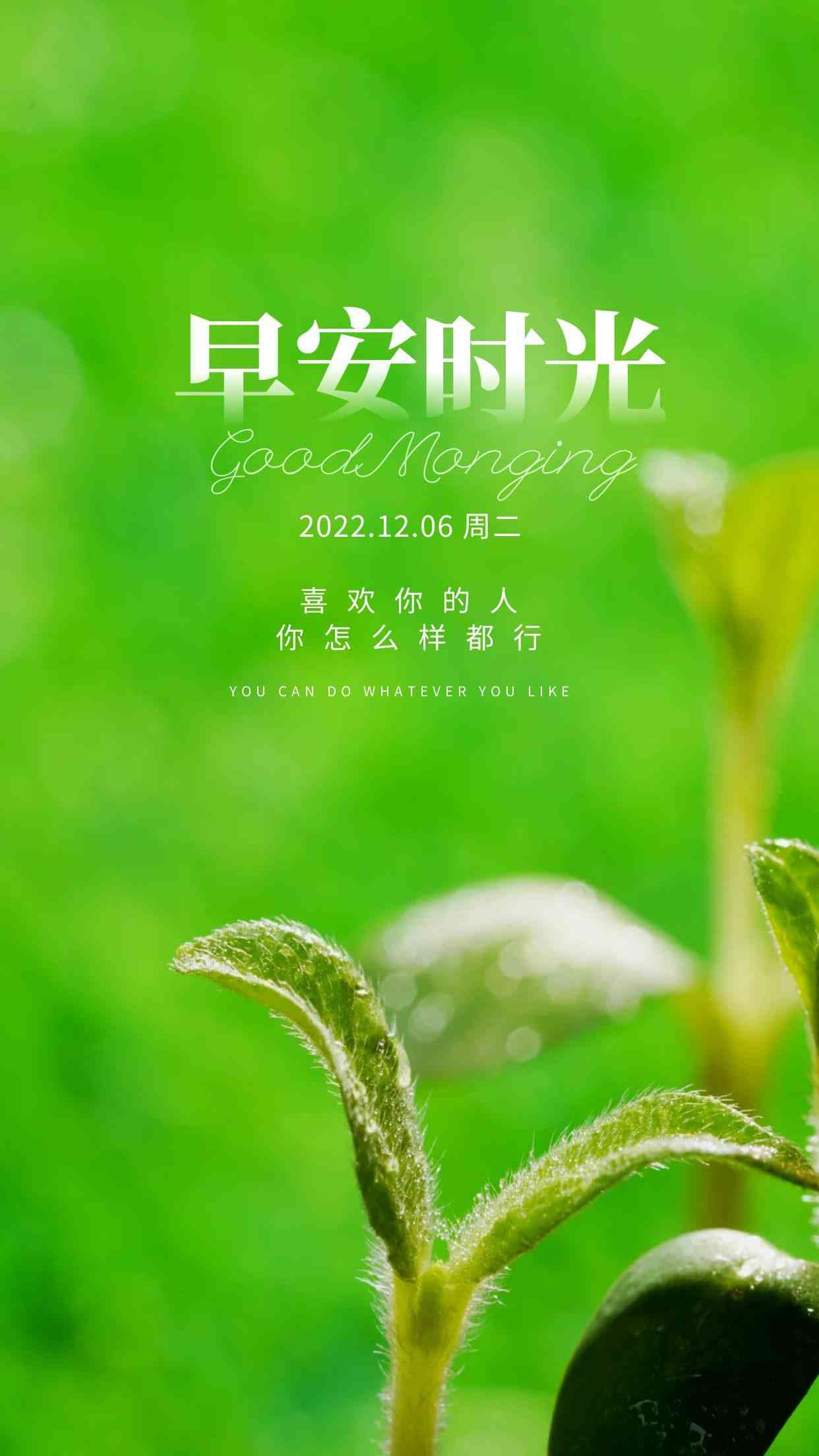 英语自我介绍文案攻略：打造完美个人展示