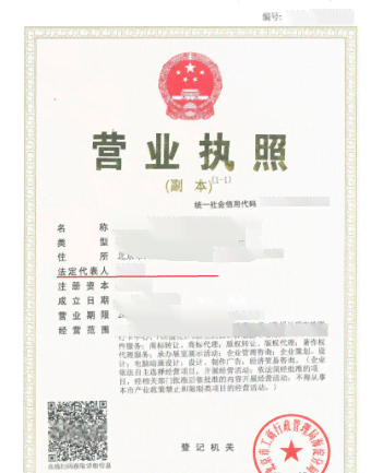 探讨支公司作为诉讼主体的资格与条件：法律地位、诉讼权利与义务全解析
