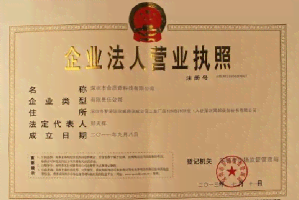 探讨支公司作为诉讼主体的资格与条件：法律地位、诉讼权利与义务全解析