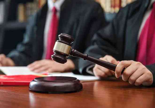 探讨支公司在法律诉讼中的被告资格及其相关问题解析